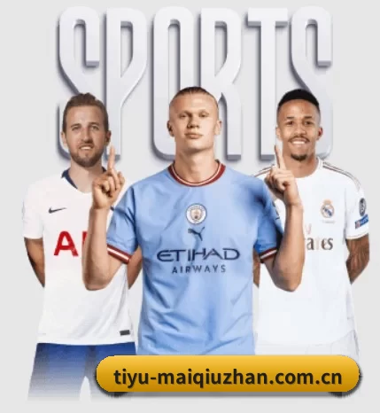每个板块围绕一个运动项目展开 | worldcup